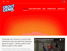 Tablet Screenshot of groutgenie.com